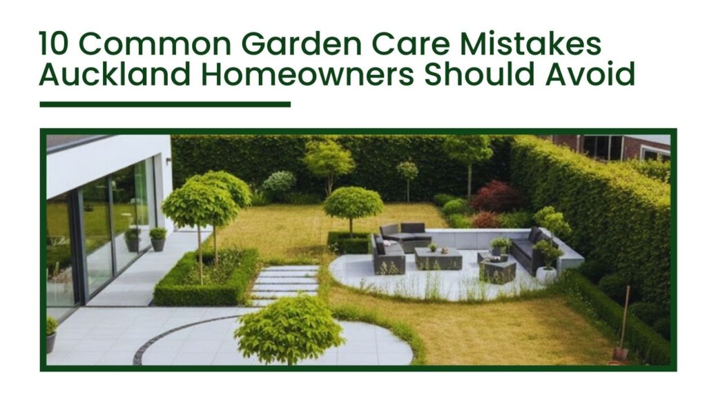 Garden care mistakes Auckland homeowners often make in modern residential backyard landscaping