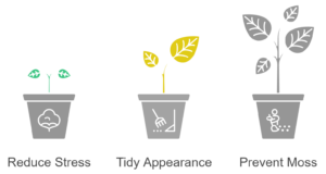 Illustration showing how to achieve a healthy autumn lawn, including reducing lawn stress, maintaining a tidy appearance, and preventing moss growth