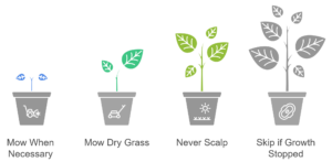 Illustration showing winter lawn mowing frequency tips, including mowing only when necessary, mowing dry grass, avoiding scalping, and skipping mowing when grass growth stops.