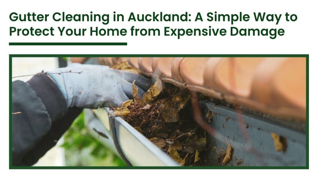 Professional gutter cleaning in Auckland removing leaves and debris from roof gutters